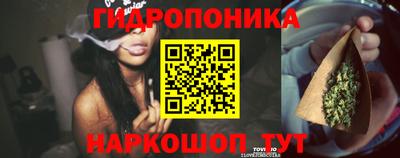 соль ск Гатчина