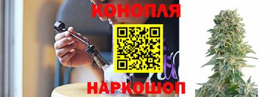 соль ск Гатчина