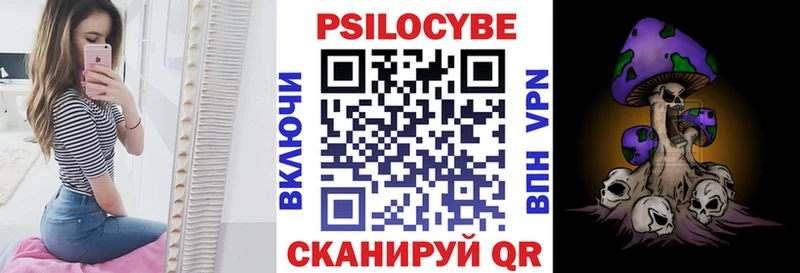 hydra как зайти  закладка  Краснознаменск  Галлюциногенные грибы мицелий 