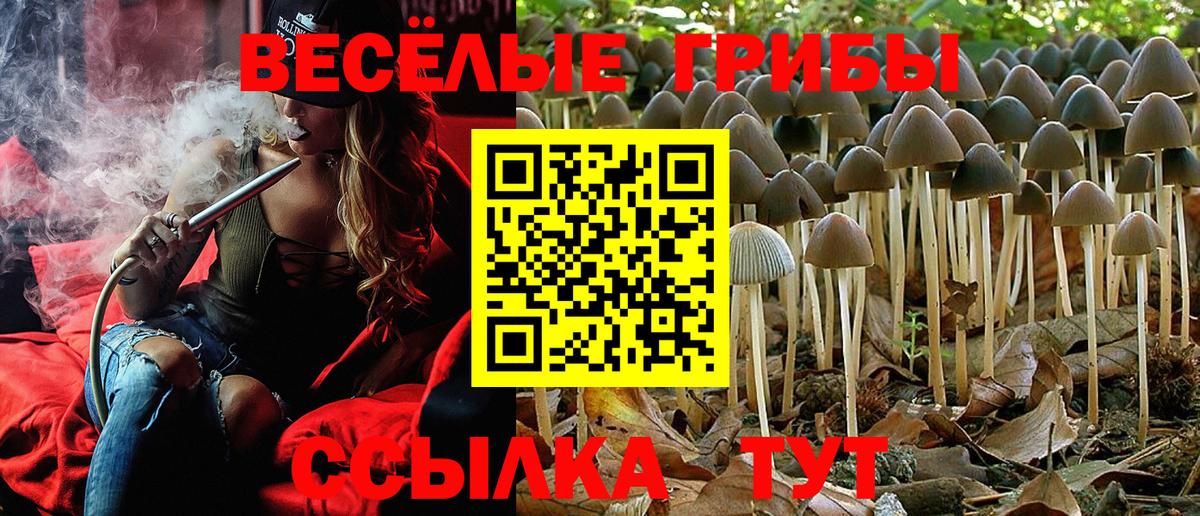 Краснознаменск  Псилоцибиновые грибы ЛСД  Вход с VPN 