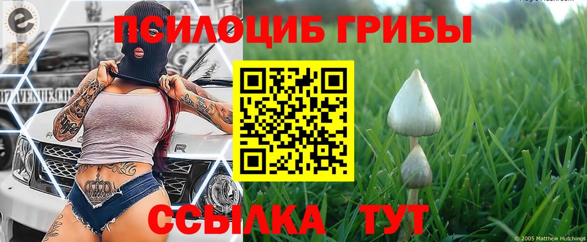 Псилоцибиновые грибы MAGIC MUSHROOMS Краснознаменск