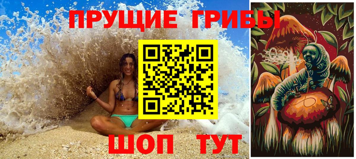 Галлюциногенные грибы прущие грибы  где купить наркотик  Краснознаменск  Галлюциногенные грибы Psilocybe 