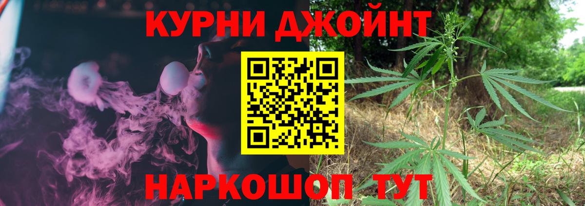 Конопля конопля Краснознаменск