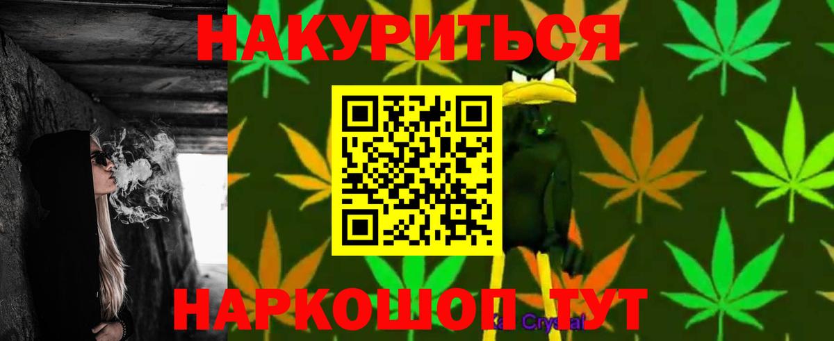 МАРИХУАНА Bruce Banner  Краснознаменск  МАРИХУАНА семена  МАРИХУАНА тримм  Канабис сатива 